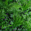 Image of Artificial Mixed Jungle Vertical Garden Sample