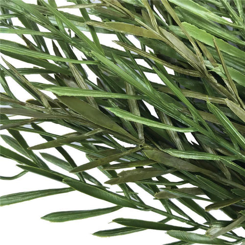 Artificial Native Tea Tree Grass Stem 45cm UV Stabilised