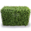 Image of Artificial Natural Buxus Freestanding Hedge 1m x 55cm x 30cm UV Stabilised