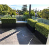 Image of Artificial Natural Buxus Freestanding Hedge 1m x 55cm x 30cm UV Stabilised