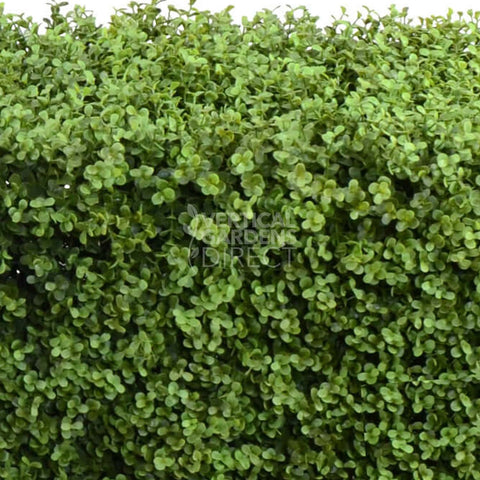 Artificial Natural Buxus Freestanding Hedge 1m x 55cm x 30cm UV Stabilised