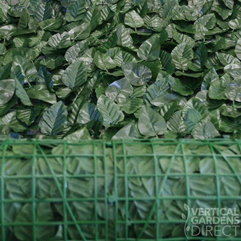 Artificial Peach Leaf Ivy Hedge Screen 3m x 1m Roll Outdoor UV Stabilised