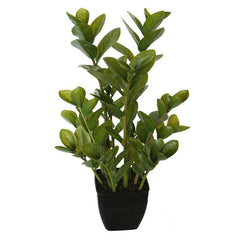 Artificial Potted Multi Stem Zanzibar Plant 72cm