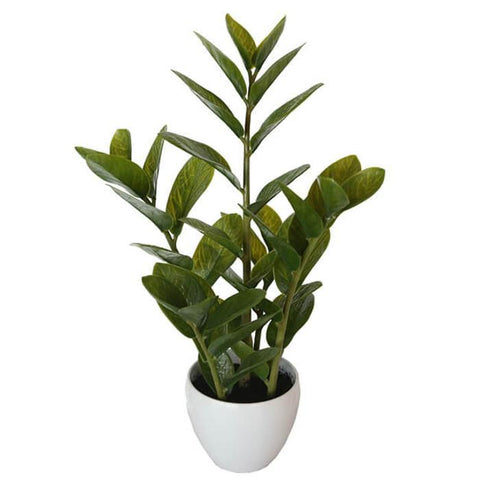 Artificial Potted Zanzibar Plant 60cm