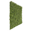 Image of Artificial Premium Natural Buxus 1m x 1m Hedge Panel UV Stabilised