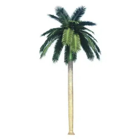 Tall Artificial Royal Coconut Palm Tree (3m To 6m) UV Resistant