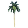 Image of Tall Artificial Royal Coconut Palm Tree (3m To 6m) UV Resistant