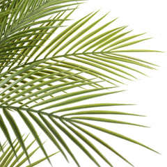 Artificial Parlour Palm Tree 180cm Multi Trunk UV Resistant