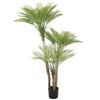 Image of Artificial Parlour Palm Tree 180cm Multi Trunk UV Resistant