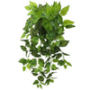 Image of Artificial Variegated Philodendron Hanging Plant Foliage Bunch 100cm