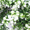 Image of Artificial White Tipped Money Leaf Stem 32cm UV
