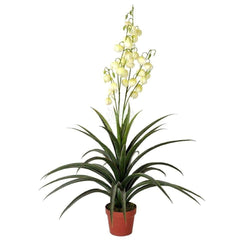 Artificial Yucca Gloriosa 120cm