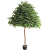 Image of Giant Artificial Ficus Tree (3m To 5m)