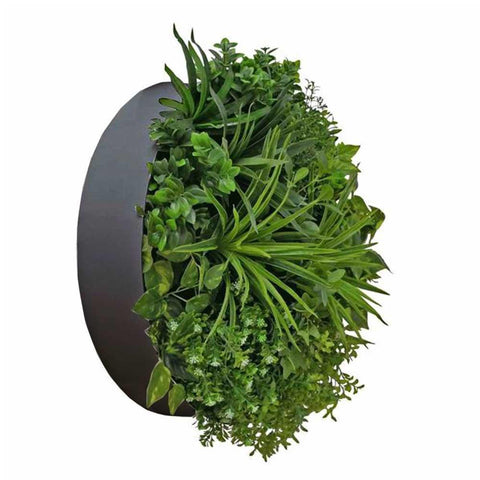 Aurora Circular Artificial Plant Wall Disc 60cm