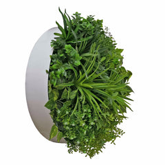 Aurora Circular Artificial Plant Wall Disc 60cm