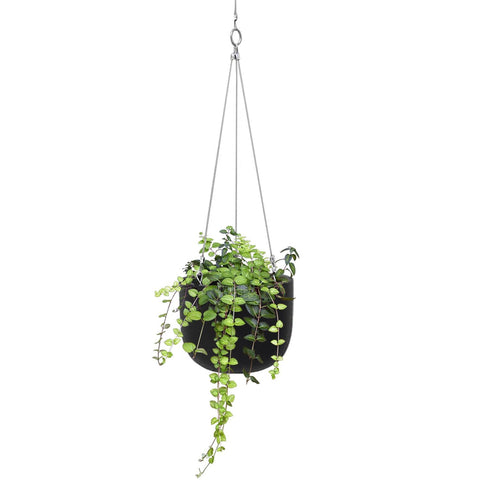 Balcony Lite 20cm Black Hanging Stone Pot With 1.2m Stainless Wire