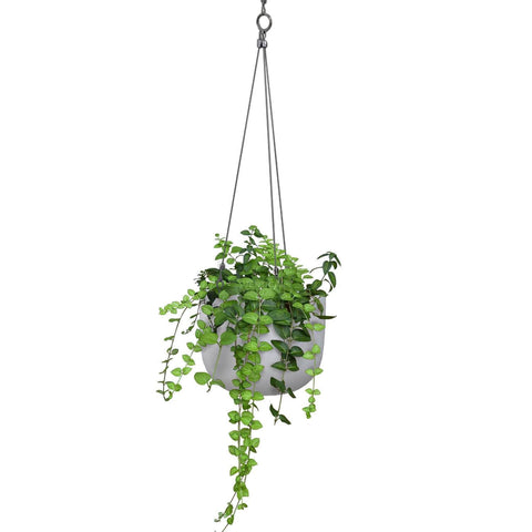 Balcony Lite 20cm White Hanging Stone Pot With 1.2m Stainless Wire