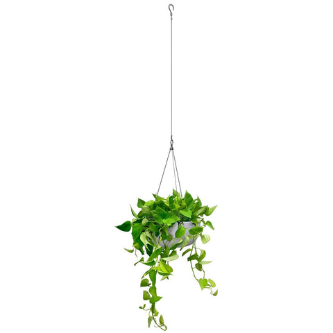 Balcony Lite 30cm White Hanging Stone Bowl With 1.2m Stainless Wire