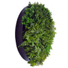 Image of Dark Aloe Circular Artificial Plant Wall Disc 100cm