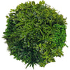 Image of Dark Aloe Circular Artificial Plant Wall Disc 100cm