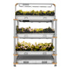 Image of Eponic Little Farm All-in-One Hydroponic Vertical Growing System
