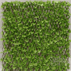 Expandable Artificial Ivy Leaf Trellis / Lattice Screen 2m x 1m