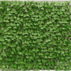 Expandable Green Ivy Leaf Trellis Screen 2m by 1m