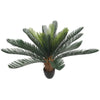 Image of Artificial Potted Cycad Plant 60cm