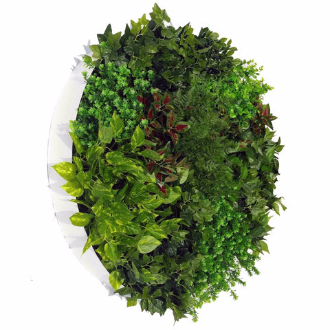 Forrest Fern Circular Artificial Green Wall Disc 100cm