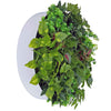 Image of Forrest Fern Circular Artificial Plant Wall Disc 60cm
