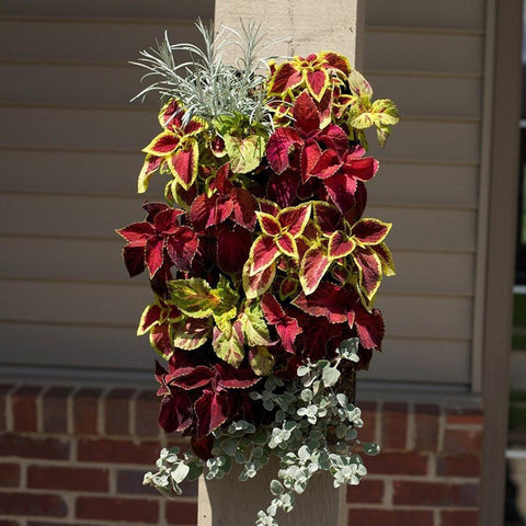 GROVERT 10 POCKET VERTICAL PLANTER