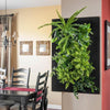 Image of GROVERT MICRO GARDEN WALL FRAME KIT - CHARCOAL
