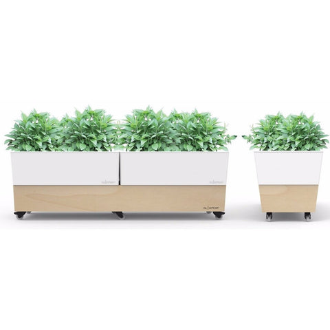 Glowpear Large Self Watering Cafe Planter