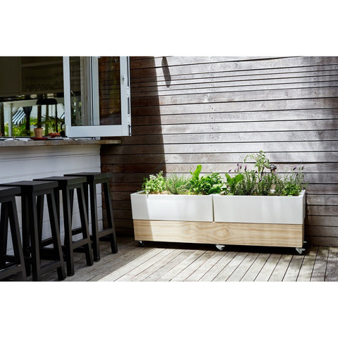 Glowpear Large Self Watering Cafe Planter
