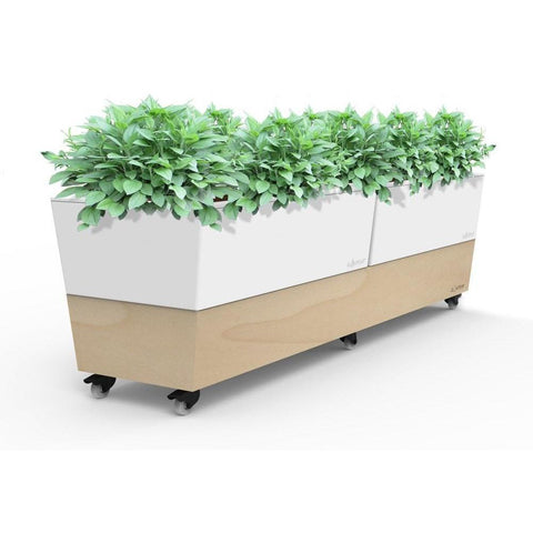 Glowpear Large Self Watering Cafe Planter