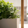 Image of Glowpear Mini Bench Self Watering Vertical Garden Planter Box