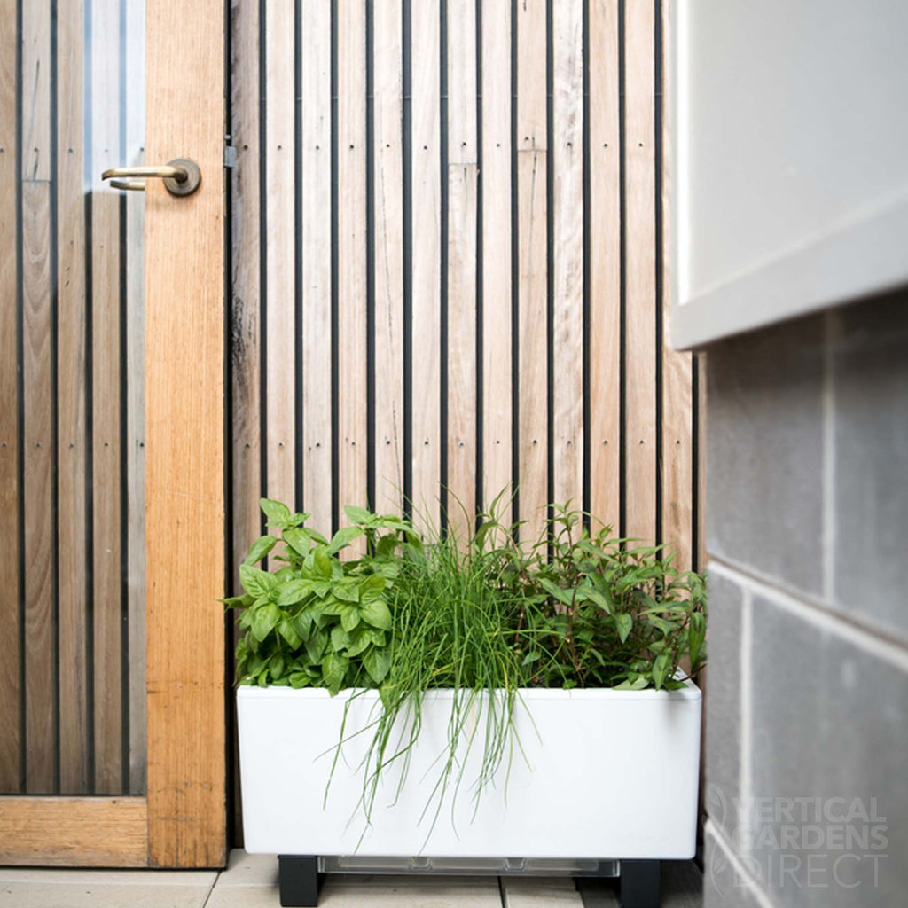 glowpear self watering planter Glowpear Mini Bench Self Watering Planter – Vertical Gardens Direct