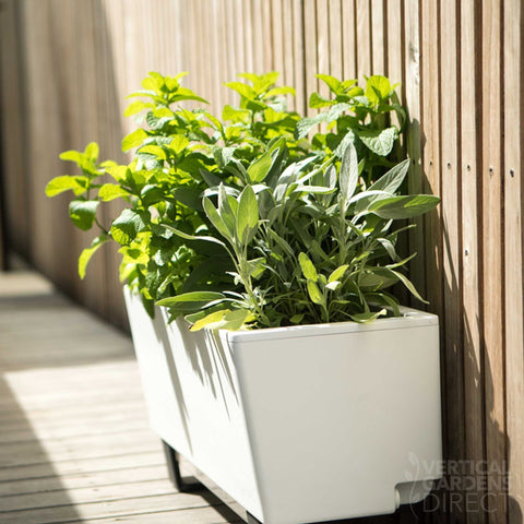 Glowpear Mini Bench Self Watering Vertical Garden Planter Box