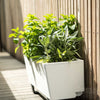 Image of Glowpear Mini Bench Self Watering Vertical Garden Planter Box