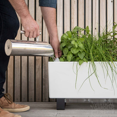 Glowpear Mini Bench Self Watering Vertical Garden Planter Box