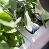 Image of Glowpear Mini Bench Self Watering Vertical Garden Planter Box