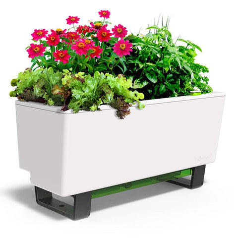 Glowpear Mini Bench Self Watering Vertical Garden Planter Box