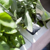 Image of Glowpear Mini Rail Self Watering Balcony Railing Planter Box