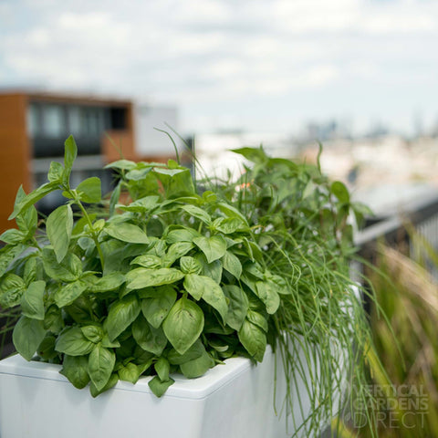 Glowpear Mini Rail Self Watering Balcony Railing Planter Box