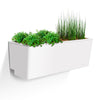 Image of Glowpear Mini Wall Self Watering Vertical Garden Planter Box