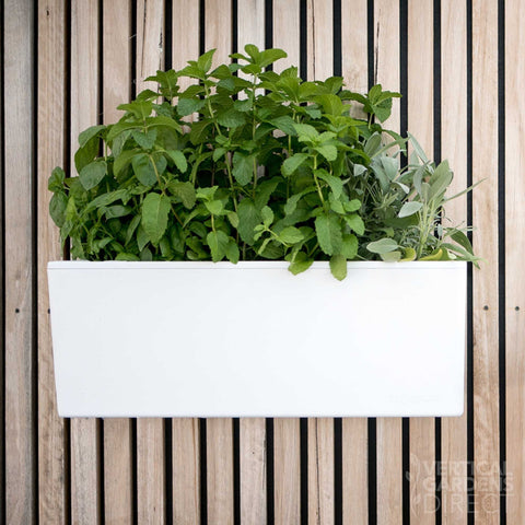 Glowpear Mini Wall Self Watering Vertical Garden Planter Box