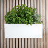 Image of Glowpear Mini Wall Self Watering Vertical Garden Planter Box