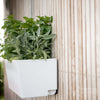 Image of Glowpear Mini Wall Self Watering Vertical Garden Planter Box