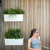 Image of Glowpear Mini Wall Self Watering Vertical Garden Planter Box