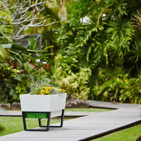 glowpear urban garden self watering planter box Glowpear Urban Garden – Vertical Gardens Direct